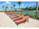 Rows of lounge chairs and tables next to the community pool, with basketball and playground nearby at 18657 Obregan Dr, Spring Hill, FL 34610