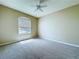 Bedroom featuring neutral carpeting, ceiling fan, and natural light from the window at 1919 Oswego Dr, Holiday, FL 34691