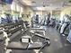 Well-equipped fitness center with various machines, free weights, and workout benches at 1919 Oswego Dr, Holiday, FL 34691