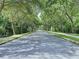 Street view lined with beautiful green trees creating a canopy over the road at 1919 Oswego Dr, Holiday, FL 34691