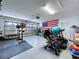 Organized garage with fitness equipment, storage, and American flag at 21626 Rosewood Ct, Lutz, FL 33549