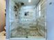 Walk-in shower featuring rock floor, gray tile walls, and glass doors at 21626 Rosewood Ct, Lutz, FL 33549