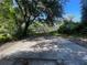Backyard featuring a concrete slab, mature trees, and some surrounding greenery at 3515 E 8Th Ave, Tampa, FL 33605