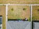Aerial shot of the home's backyard featuring a well-maintained lawn at 35519 Bellington Blvd, Zephyrhills, FL 33541