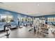 Community gym with a variety of modern exercise machines and equipment at 5521 Limelight Dr, Apollo Beach, FL 33572