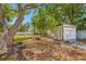 Detached accessory structure located in a backyard with trees and greenery at 8444 8Th N Way, St Petersburg, FL 33702