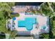 Aerial view of a large community pool with lots of lounge chairs and lush landscaping at 1316 Pasadena S Ave # 303, South Pasadena, FL 33707