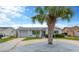 Charming single-story home featuring a spacious driveway and a well-maintained lawn with a mature palm tree at 13612 Veronica Dr, Hudson, FL 34667