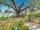 Lush backyard featuring an old oak tree, greenery, garden decor, and a brick paver pathway at 1432 Windjammer Pl, Valrico, FL 33594