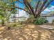 Spacious backyard featuring an old oak tree, a swing, stone patio and mature landscaping at 1432 Windjammer Pl, Valrico, FL 33594