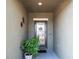 Inviting front entrance with decorative glass door, welcome mat, and potted plant at 19041 Alfaro Loop, Spring Hill, FL 34610