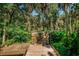 Wooden boardwalk winding through lush greenery, palm trees, and tropical foliage at 2880 81St N St, St Petersburg, FL 33710