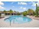 Stunning community pool with palm trees and lounging areas for relaxation at 32713 Brooks Hawk Ln, Wesley Chapel, FL 33543