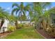 Lush backyard featuring palm trees, plants, and a white fence at 4410 Foxboro Dr, New Port Richey, FL 34653