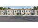 Charming two-story townhomes with attached garages and manicured lawns on a sunny day at 4419 Rachel Falls Dr, Tampa, FL 33610