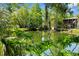 Secluded backyard pond surrounded by mature trees and lush vegetation at 5421 Gay St, Weeki Wachee, FL 34607