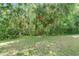 A beautiful lawn and wooded area behind this property at 8132 Stone Path Way, Tampa, FL 33647