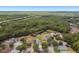 Wide aerial shot of homes surrounded by dense forestry, offering quiet seclusion and natural beauty at 8208 Pinewood Run Ct, Tampa, FL 33647