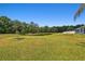 Expansive backyard features lush greenery and a scenic pond at 8208 Pinewood Run Ct, Tampa, FL 33647