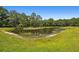 Scenic pond surrounded by lush landscaping, offering a tranquil view at 8208 Pinewood Run Ct, Tampa, FL 33647