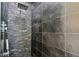 Close up of a sleek black tiled shower with both a rain shower head and handheld sprayer at 8208 Pinewood Run Ct, Tampa, FL 33647