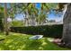 Beautiful backyard featuring lush green turf, a mature tree, and a relaxing hanging swing at 1207 S Druid Ln, Tampa, FL 33629