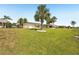 Expansive front yard displaying lush grass, mature palm trees, and the home's inviting facade at 1405 W Del Webb Blvd, Sun City Center, FL 33573