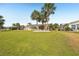 Lush front yard featuring vibrant green grass, majestic palm trees, and a charming one story residence at 1405 W Del Webb Blvd, Sun City Center, FL 33573