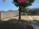 View of the home's backyard, vinyl fence and large trees at 1710 Tallowtree Cir, Valrico, FL 33594