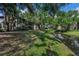 Picturesque backyard with a meandering creek, mature trees, and manicured lawn at 3079 Landmark Blvd # 1608, Palm Harbor, FL 34684