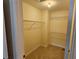 Walk-in closet with ample shelving space, offering practical storage solutions at 38225 Ironwood Pl # 38225, Zephyrhills, FL 33542