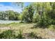 View of an overgrown, vacant lot with a white fence on the left at 4815 N Falkenburg Rd, Tampa, FL 33610