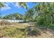 Partially cleared, overgrown lot enclosed by a white fence, with surrounding lush trees and shrubbery at 4815 N Falkenburg Rd, Tampa, FL 33610