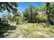View of an overgrown backyard with dilapidated structures and surrounding trees at 4815 N Falkenburg Rd, Tampa, FL 33610