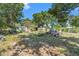 View of the property's backyard with overgrown lawn, some trees, and discarded construction debris at 4815 N Falkenburg Rd, Tampa, FL 33610