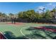 Outdoor basketball court featuring vibrant colors and well-maintained surface at 624 Balibay Rd, Apollo Beach, FL 33572