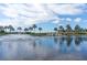Scenic pond featuring a water fountain, palm trees and a bridge at 624 Balibay Rd, Apollo Beach, FL 33572