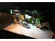 Bearded Dragon in spacious indoor habitat with heat lamp, climbing logs and foliage at 7334 Night Heron Dr, Land O Lakes, FL 34637