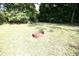 A grassy backyard features a steel fire pit in the center and is bordered by mature trees at 7334 Night Heron Dr, Land O Lakes, FL 34637