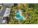 Aerial view of pool surrounded by lush palm trees, adjacent to residential building at 789 Grand Cypress Ln, Tarpon Springs, FL 34689