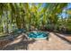 Relaxing hot tub surrounded by tropical greenery, providing a private and serene outdoor experience at 789 Grand Cypress Ln, Tarpon Springs, FL 34689