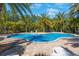 Community pool surrounded by lush palm trees, creating a tranquil and inviting tropical oasis at 789 Grand Cypress Ln, Tarpon Springs, FL 34689
