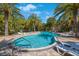 Community pool surrounded by lush palm trees, creating a tranquil and inviting tropical oasis at 789 Grand Cypress Ln, Tarpon Springs, FL 34689