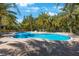 Community pool surrounded by lush palm trees, creating a tranquil and inviting tropical oasis at 789 Grand Cypress Ln, Tarpon Springs, FL 34689