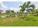 Expansive backyard with lush green grass, mature trees, and a tranquil lake view, perfect for outdoor enjoyment at 815 Silverthorn Ln # 0, Sun City Center, FL 33573
