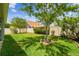 Well-maintained backyard featuring lush green grass, a mature tree, and a privacy fence at 8228 Sunlit Horizon Ln, Land O Lakes, FL 34637