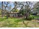 Grassy backyard featuring mature trees, offering privacy and a serene outdoor environment at 232 Pinecrest Dr, Palm Harbor, FL 34683