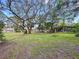Large, grassy backyard featuring mature trees, a screened in patio and inviting outdoor space at 232 Pinecrest Dr, Palm Harbor, FL 34683