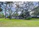 Expansive backyard with mature trees and lush green lawn, offering privacy and space at 232 Pinecrest Dr, Palm Harbor, FL 34683