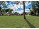 Landscaped front yard and large shade tree, creating an inviting curb appeal at 2679 Haines Bayshore Rd, Clearwater, FL 33760